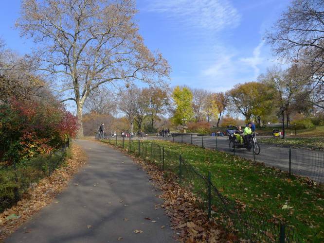 USA_2011-11-20 12-23-26
